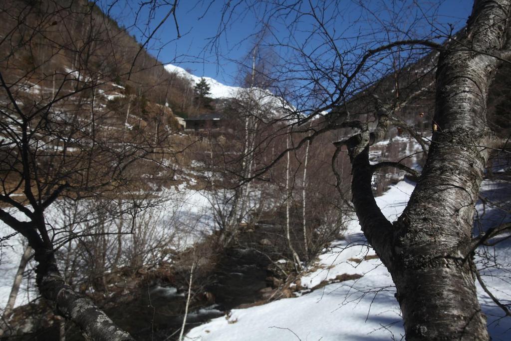 Apartaments Turistics Prat De Les Mines Ordino Extérieur photo