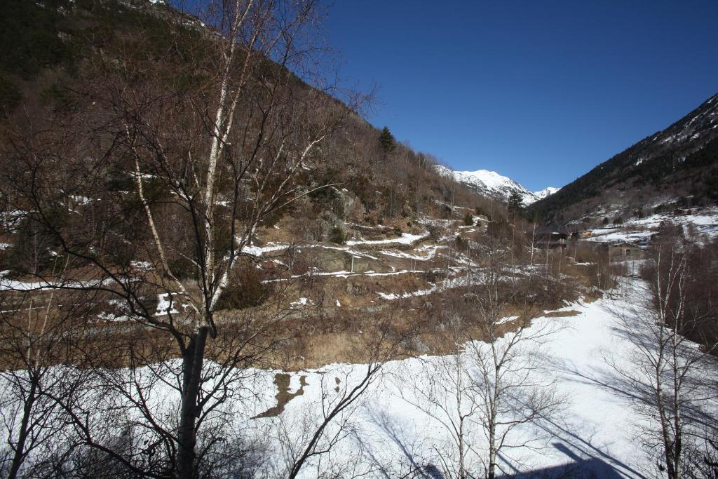 Apartaments Turistics Prat De Les Mines Ordino Extérieur photo